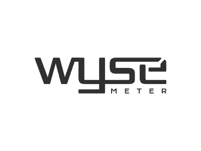 Wyse Meter logo